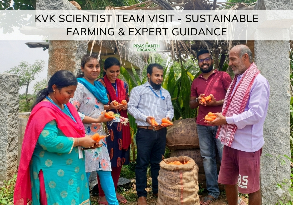 KVK Scientist visit to Prashanth Organics farm